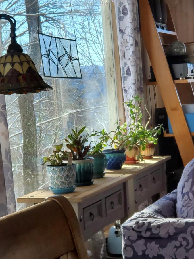 Treehouse Cathedral In Blue Ridge Mountains, Nc Villa Burnsville Buitenkant foto